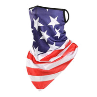 Classic USA Flag 2