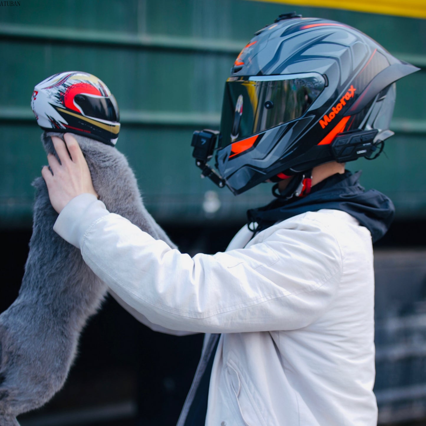 B28 Pet Full-Face Helmets (15 styles)